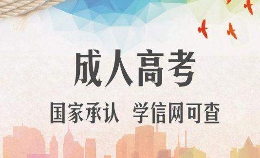 2024年烟台成考专升本报考流程